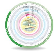 La guida pratica per selezionare la guaina termorestringente più adatta.